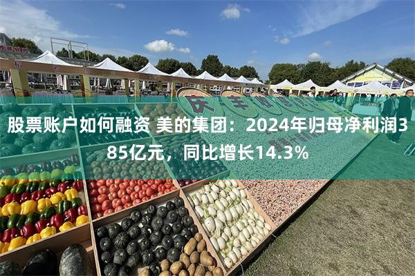 股票账户如何融资 美的集团：2024年归母净利润385亿元，同比增长14.3%