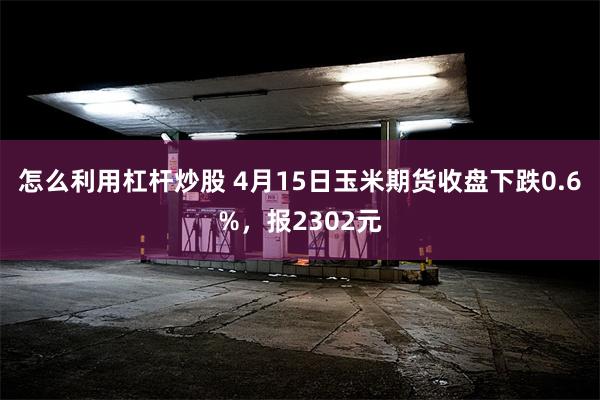怎么利用杠杆炒股 4月15日玉米期货收盘下跌0.6%，报2302元
