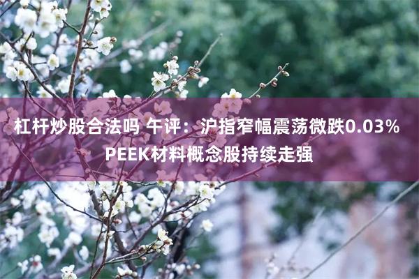 杠杆炒股合法吗 午评：沪指窄幅震荡微跌0.03% PEEK材料概念股持续走强
