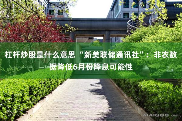 杠杆炒股是什么意思 “新美联储通讯社”：非农数据降低6月份降息可能性