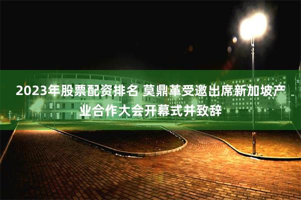 2023年股票配资排名 莫鼎革受邀出席新加坡产业合作大会开幕式并致辞