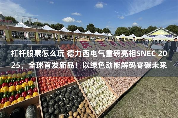 杠杆股票怎么玩 德力西电气重磅亮相SNEC 2025，全球首发新品！以绿色动能解码零碳未来