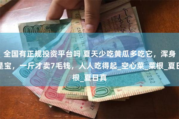全国有正规投资平台吗 夏天少吃黄瓜多吃它，浑身都是宝，一斤才卖7毛钱，人人吃得起_空心菜_菜根_夏日真
