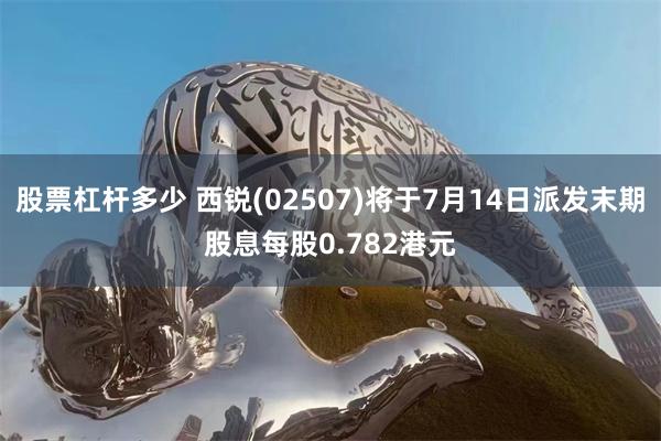 股票杠杆多少 西锐(02507)将于7月14日派发末期股息每股0.782港元
