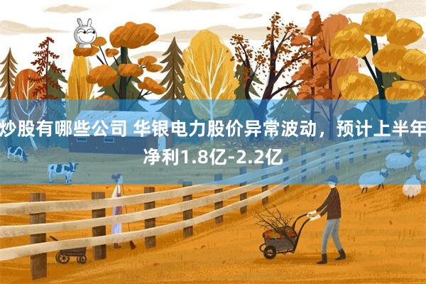 炒股有哪些公司 华银电力股价异常波动，预计上半年净利1.8亿-2.2亿